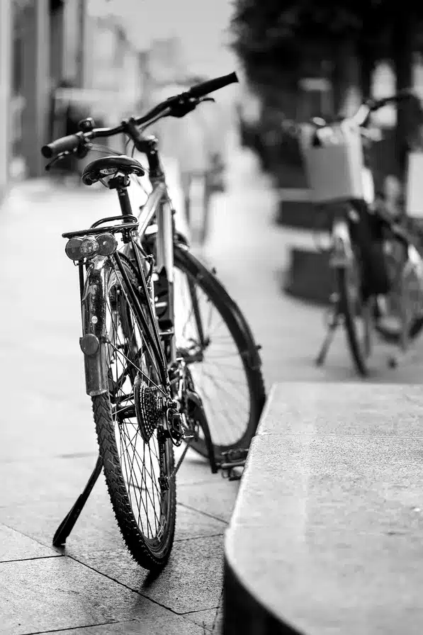 El ciclo de la vida y la palabra de Dios