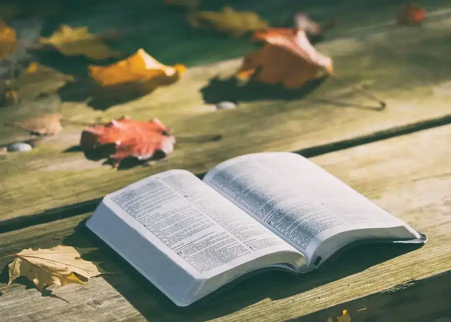 El Papa Inocencio III prohibió la lectura de la Biblia en la Edad Media