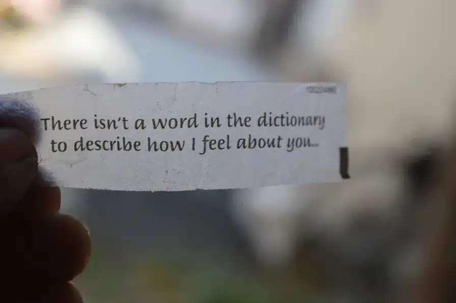 La frase principal