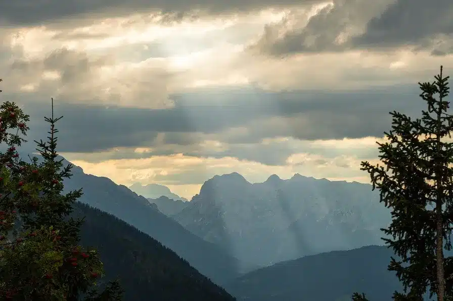 La importancia de la luz
