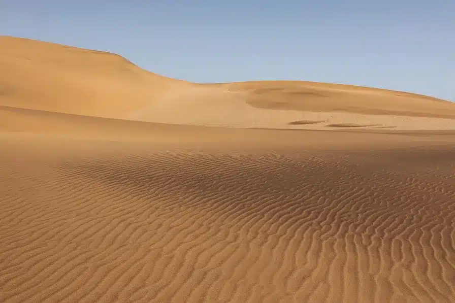 Mandamientos de Dios en el desierto