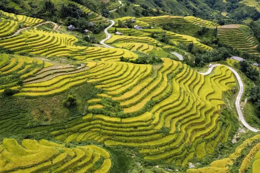 Recuerda las veces que Dios ha sido fiel