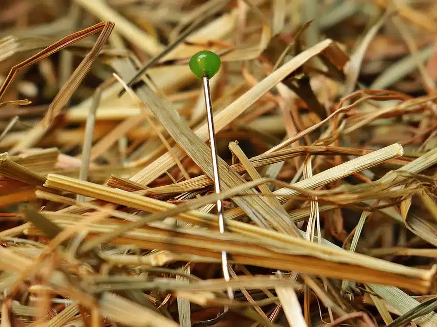 Encuentra inspiración en la naturaleza