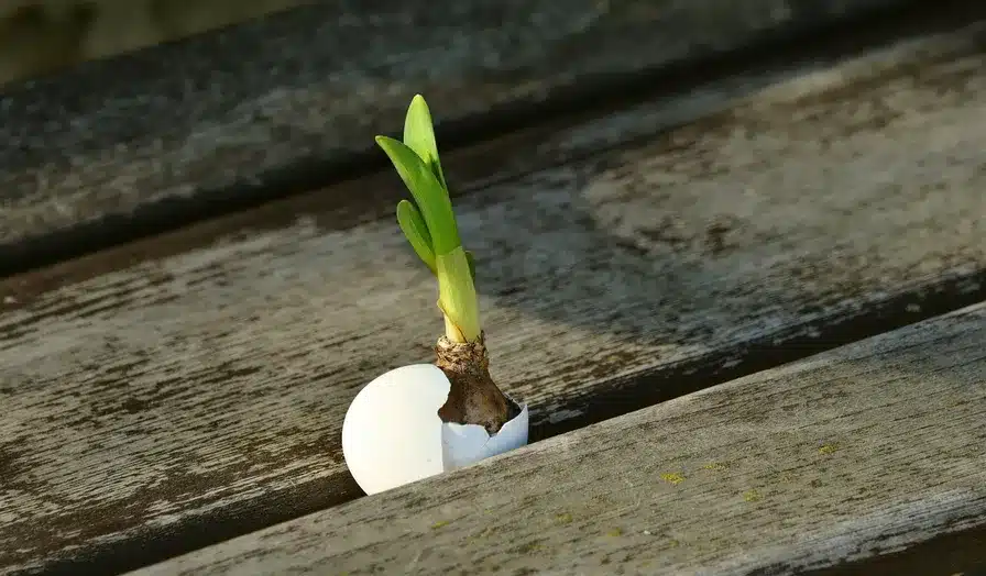 La resurrección como esperanza futura