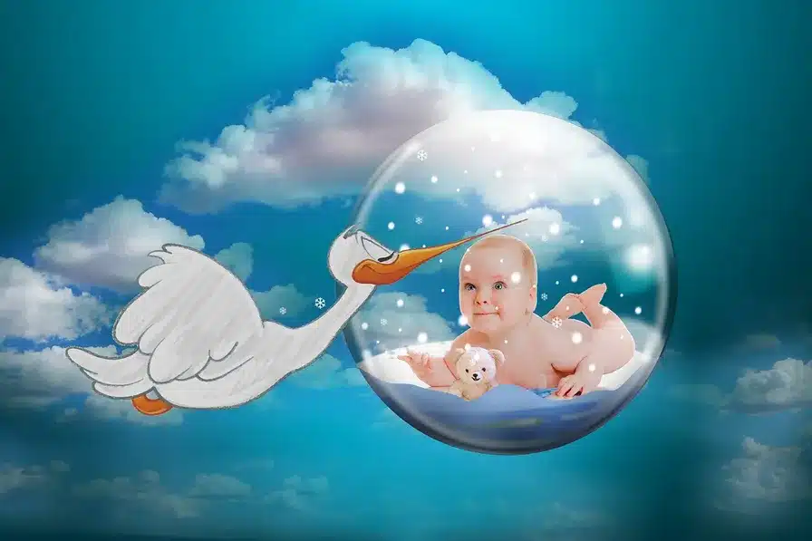 Renovación y fertilidad