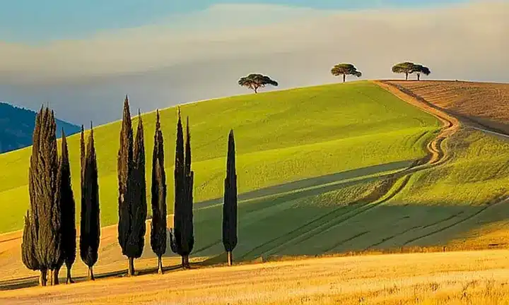 Un paisaje al amanecer rodeado de colinas empinadas y olivos, iluminado por un cielo dorado que refleja la bruma