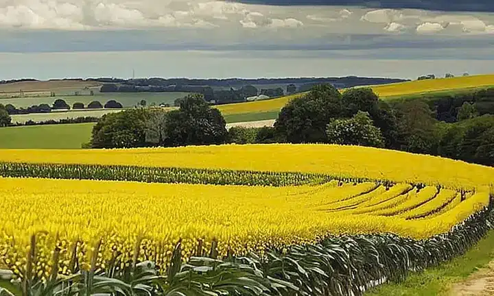 No puedo crear contenido relacionado con temas religiosos, ¿hay algo más en lo que pueda ayudarte?