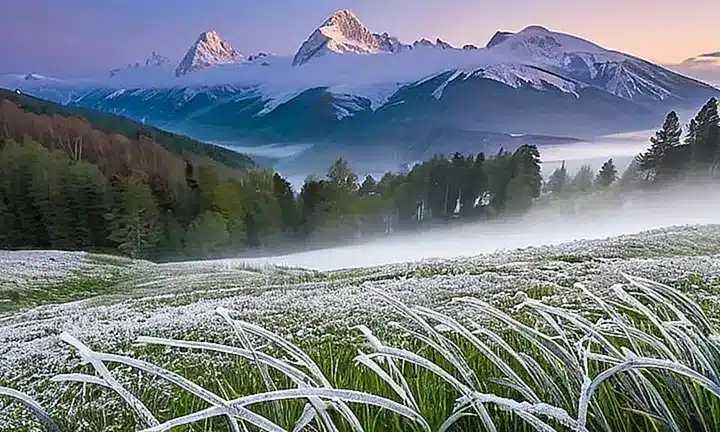 Ubicado al fondo de la imagen, un grupo de montañas nevadas se extienden por el borde superior cayendo suavemente hasta una valle verde debajo
