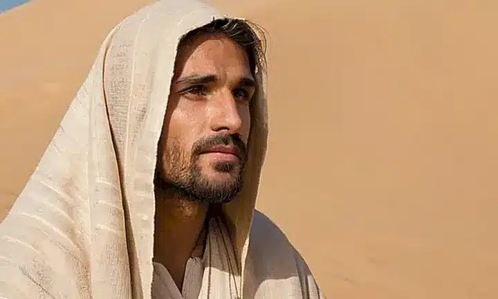 El Cristo está retratado con serena contemplación y una mirada tranquila, envuelto en ropas arrugadas que contrastan con la suavidad de sus manos en contacto con un grano