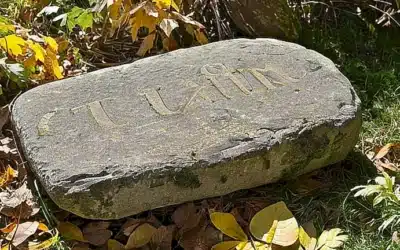 Una piedra negra de granito con letras desgastadas dice Tu Eres en un entorno natural rodeado de hojas amarillas y sombras largas bajo el sol