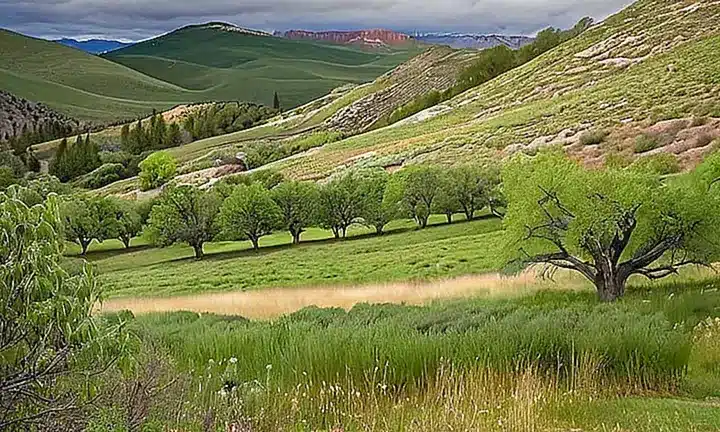 El paisaje de Utah se presenta como un tapejar de colinas y valles con diferentes tonos de verde debido a la variedad estacionada de las hierbas, rodeado de montañas lejanas cubiertas de niebla