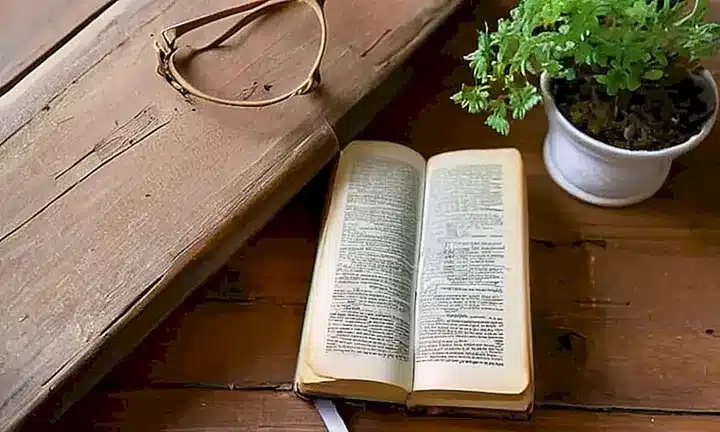 Una persona anciana estudia una Biblia antigua y da cuidado a una planta en un ambiente tranquilo iluminado por la luz del sol
