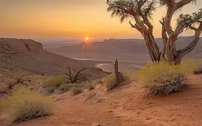 Una pintura al óleo muestra a Moisés en el desierto