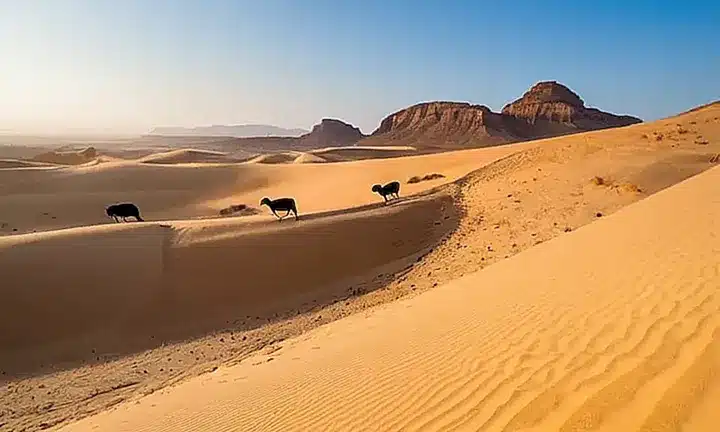 Un paisaje del desierto con dunas de arenas doradas reculando hacia el horizonte, contrastante bajo un cielo azul despejado