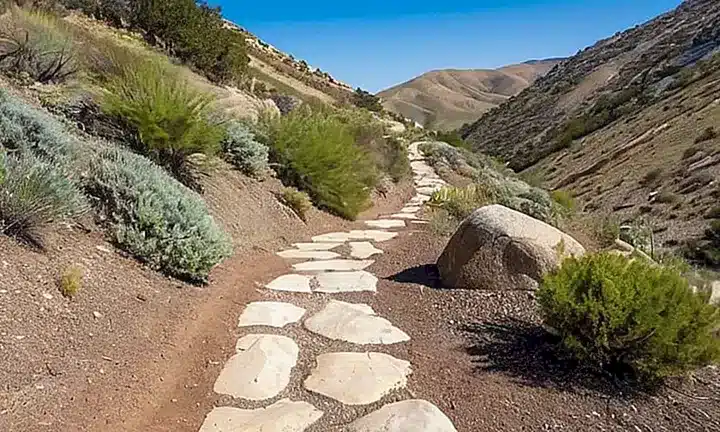 Un camino de tierra arenoso atraviesa un paisaje ondulado